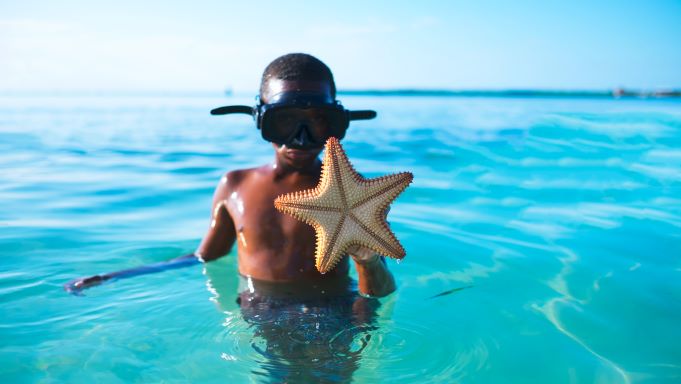 Boy holding starfish.